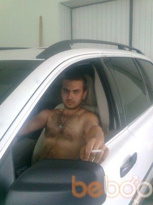  ,   Salvia, 34 ,   