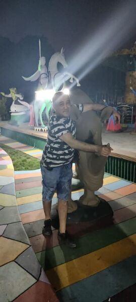  ,   , 43 ,   ,   