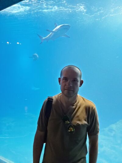  ,   Roman, 31 ,     , c 
