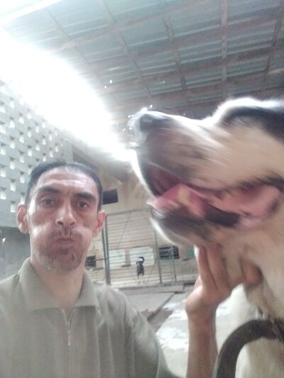  ,   , 53 ,   ,   