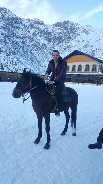  ,   Spartak, 33 ,     , c 