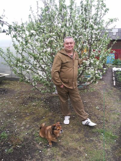  ,   Vik, 49 ,   ,   , c 