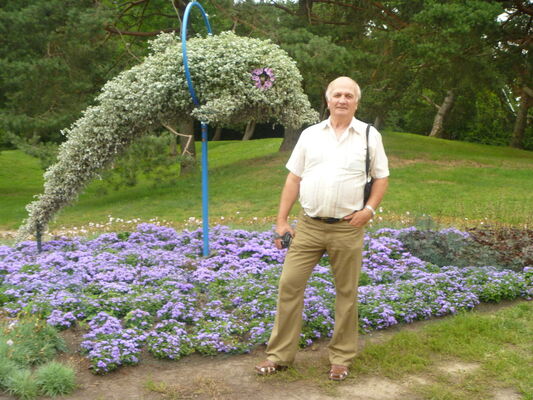  ,   Kestas, 70 ,   ,   , c 