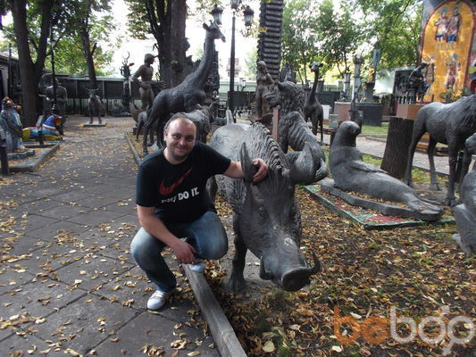 ���������� ������, ���� ������� ����, 41 ���, ������������ ��� ������, ����� � ���������, c�������� ���������