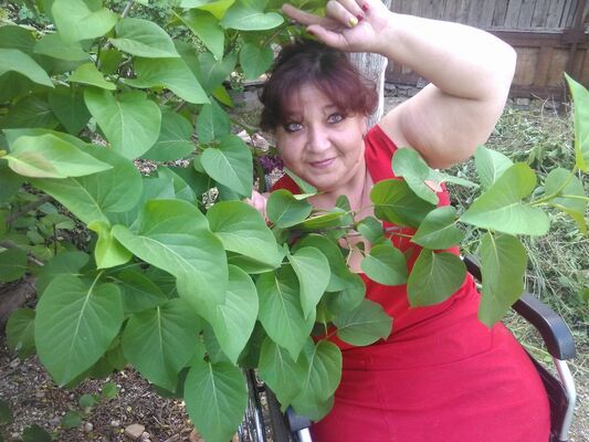  ,   , 56 ,   ,   , c 