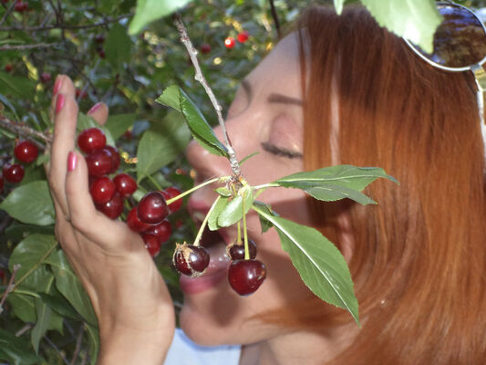  ,   Margo, 44 ,   ,   , c 