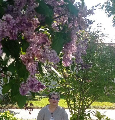  ,   , 53 ,   c 