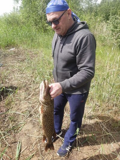 -,   , 57 ,   ,   