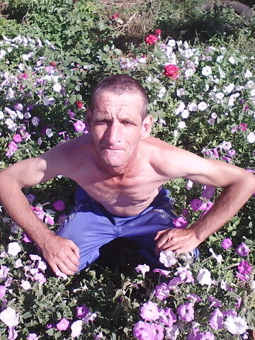  ,   , 54 ,   