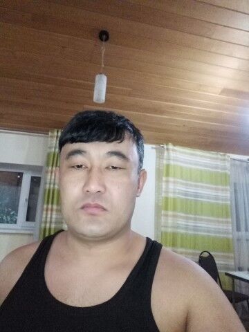  -,   , 38 ,   ,   , c 