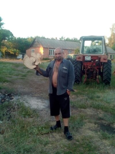  ,   , 46 ,   