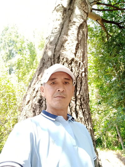  ,   , 53 ,   