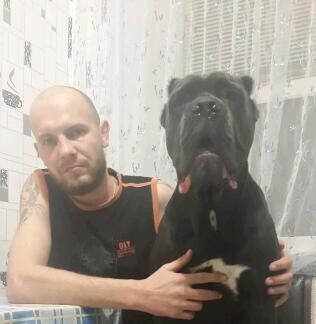  8368751  , 40 ,    -