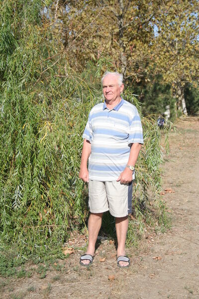  ,    , 86 ,   ,   