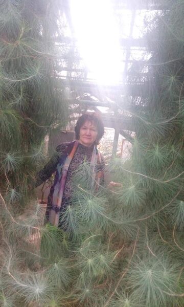 ,   , 62 ,  