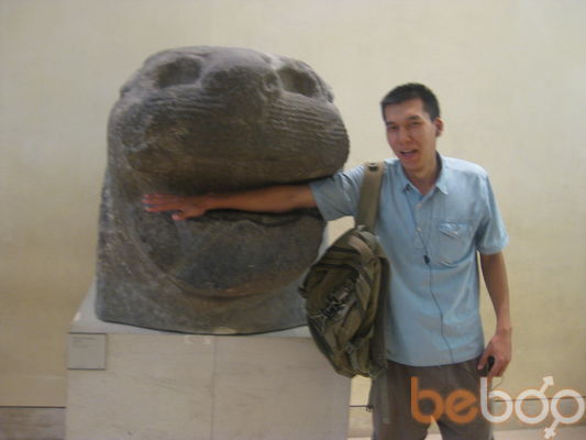  ,   Cobra, 33 ,   