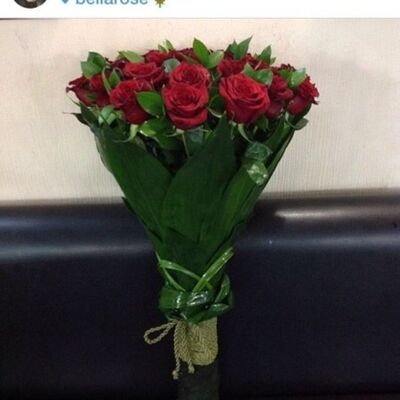  ,   Akosh, 37 ,   ,   , c 