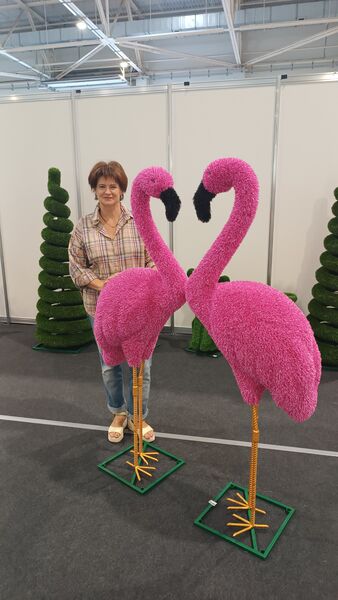  ,   , 53 ,   ,   , c 