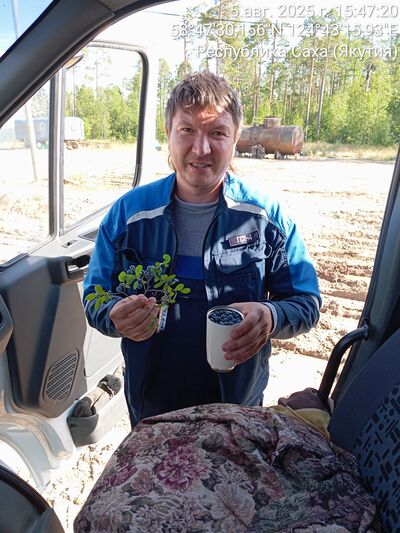  ,   , 43 ,     , c , 