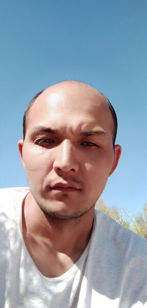  ,   Timur, 38 ,   ,   
