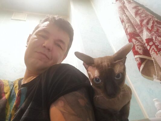  ,   , 51 ,   