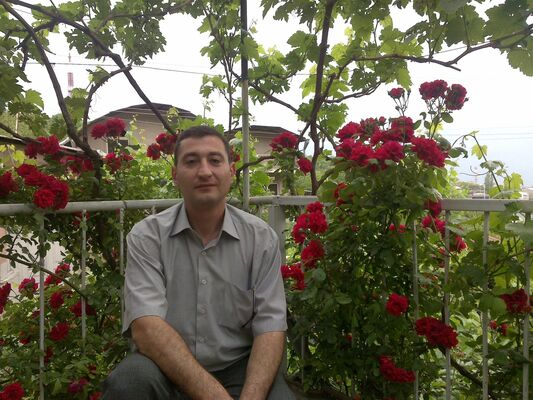  ,   Aram, 48 ,     , c 