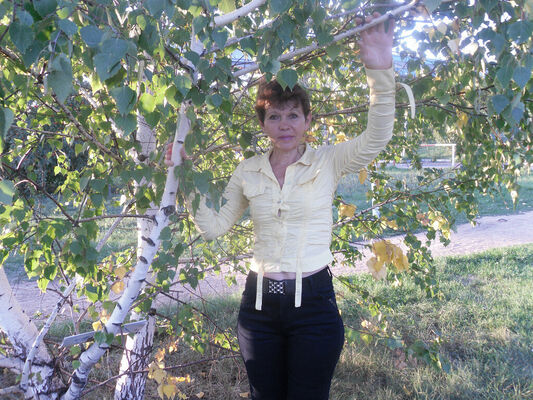  ,   , 58 ,  