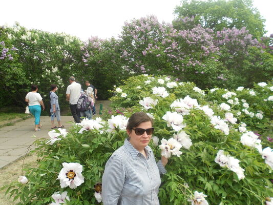  ,   , 40 ,     , c 
