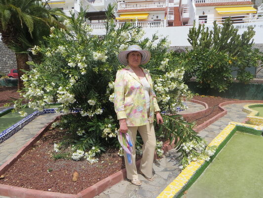  ,   , 76 ,  