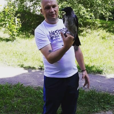  ,   , 41 ,   ,   