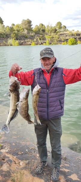  Madrid,   Misha, 53 ,   ,   