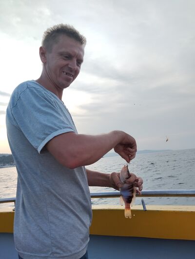  ,   , 41 ,   ,   