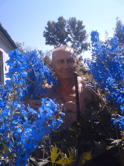  ,   , 71 ,   