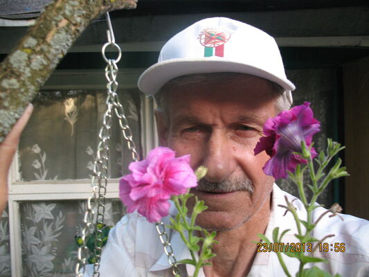  ,   , 74 ,   