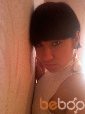  3460141  , 33 ,    -