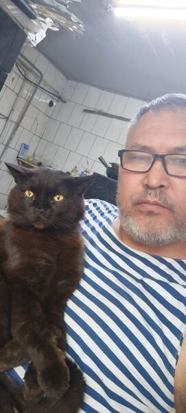  ,   , 48 ,   ,   