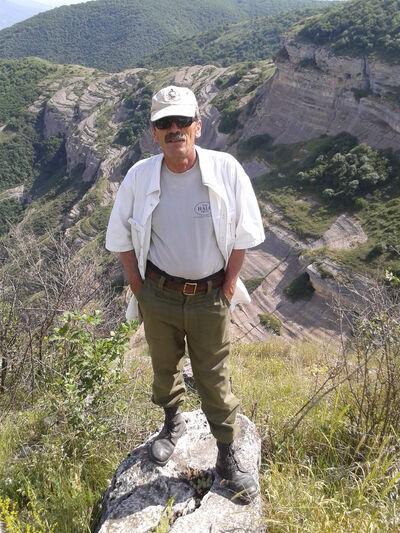  ,   GENA, 66 ,   ,   , c 