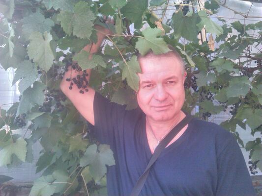  ,   Art, 55 ,   
