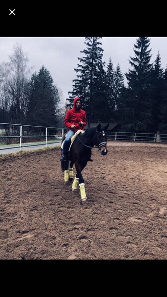  ,   Vadim, 26 ,   ,   , 