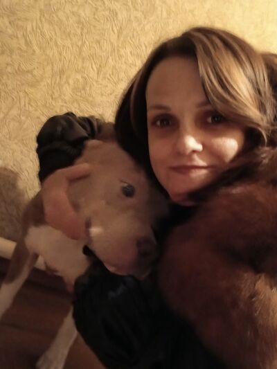  ,   , 41 ,     , c , 