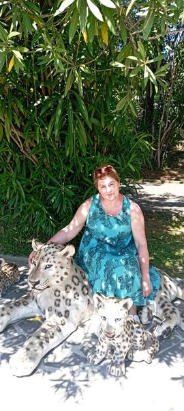  ,   , 59 ,   ,   