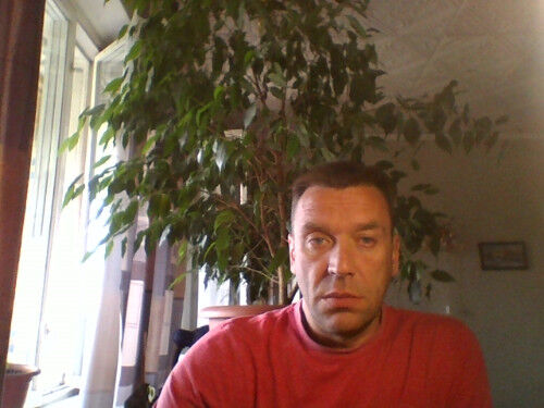  -,   , 53 ,   ,   , c 