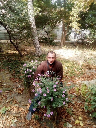  ,   , 46 ,   ,   , c , 