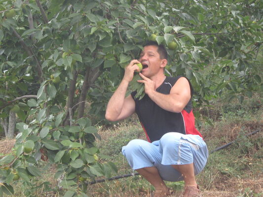  ,   Eduard, 54 ,   ,   , c 
