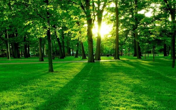  ,   Gennadij, 46 ,   ,   , c 