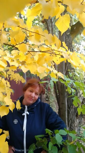  ,   , 59 ,     , c , 
