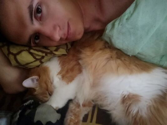  ,   , 27 ,   c 
