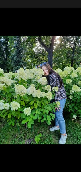  ,   , 20 ,  