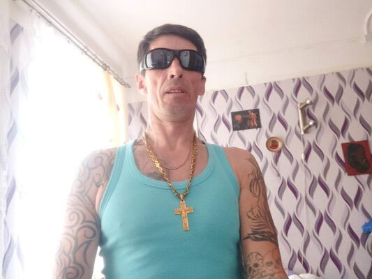  ,   , 54 ,  
