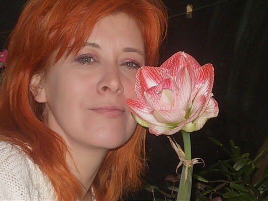  ,   , 49 ,   c 